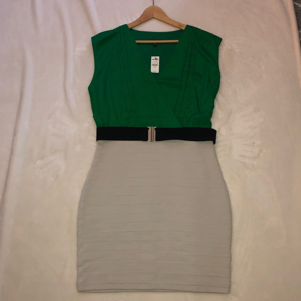 Express twofer dress size L